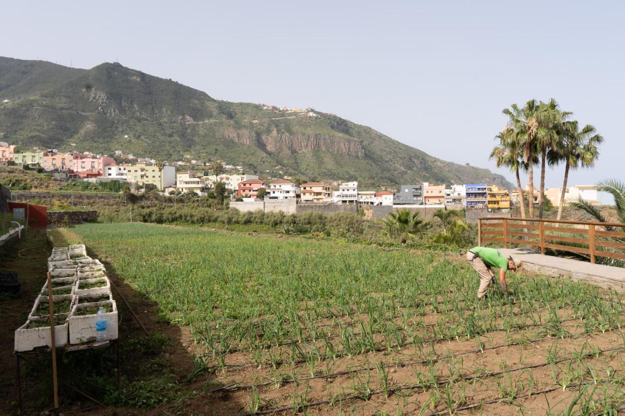 Finca Pico 洛斯雷尔雷赫斯 外观 照片