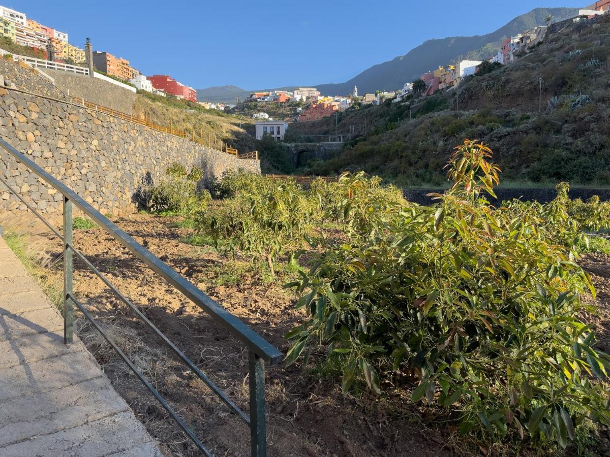 Finca Pico 洛斯雷尔雷赫斯 外观 照片